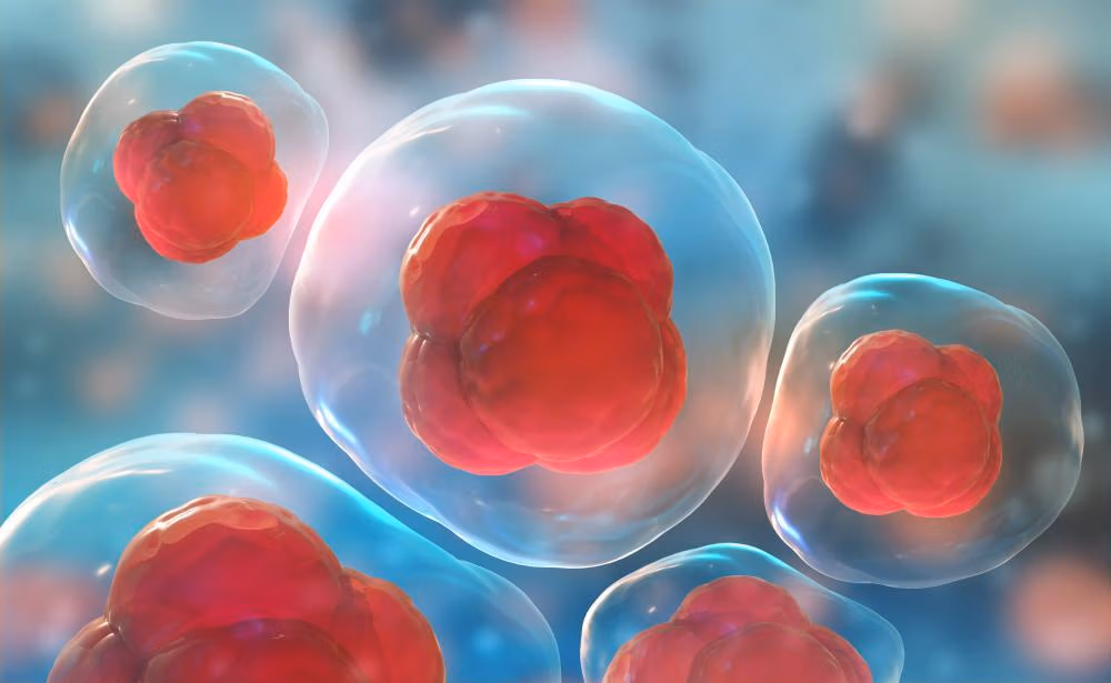 Stem cell therapy prices in Thailand in 2024