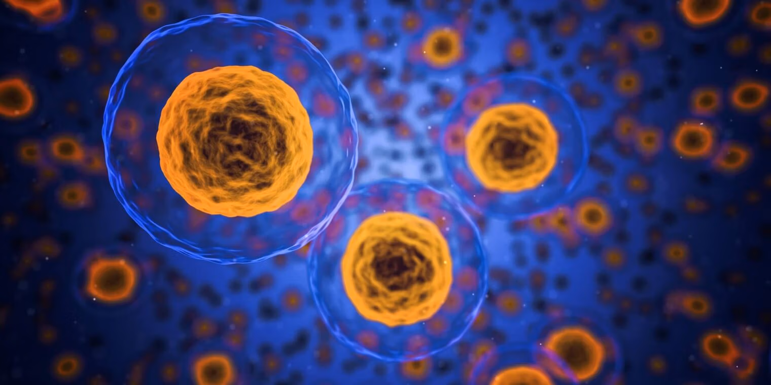 Stem cell therapy for men in 2024