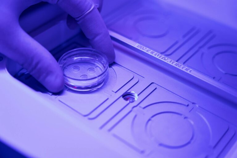 Stem Cell Therapy In 2026