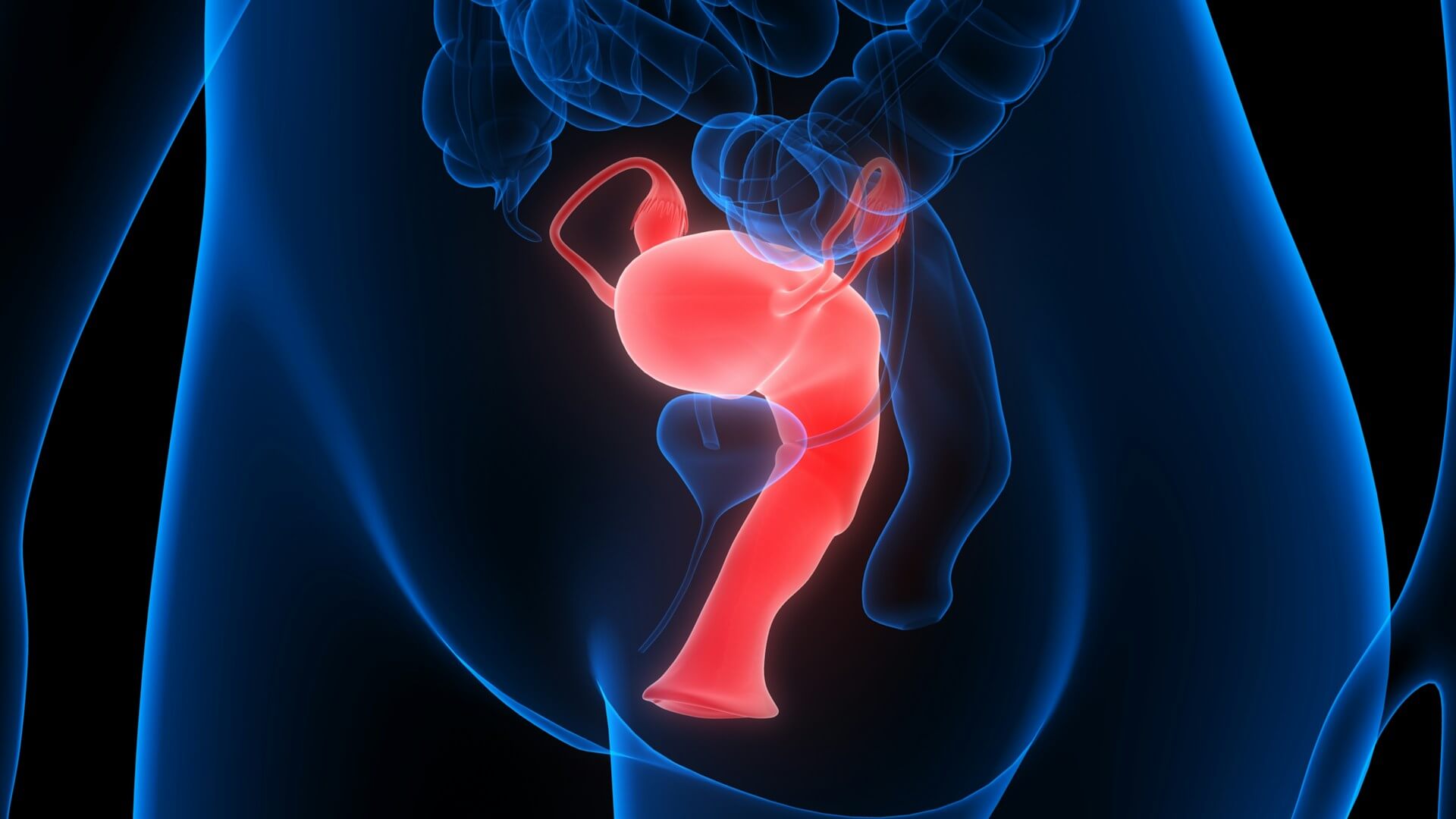Difference Between Penile Enhancement And Enlargement