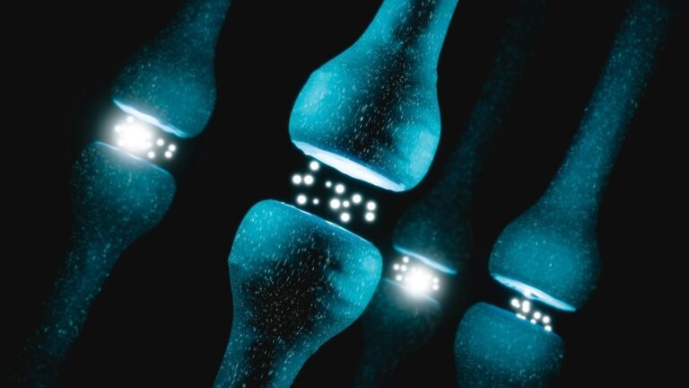 Stem Cells For Recovery