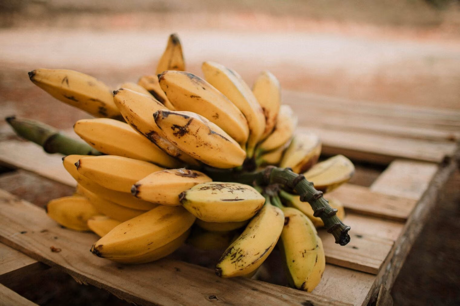 Solutions for Peyronie’s disease in Bangkok