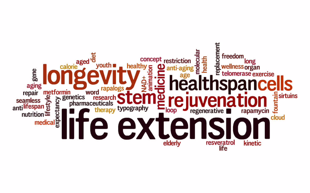 Stem Cells and Longevity in 2025