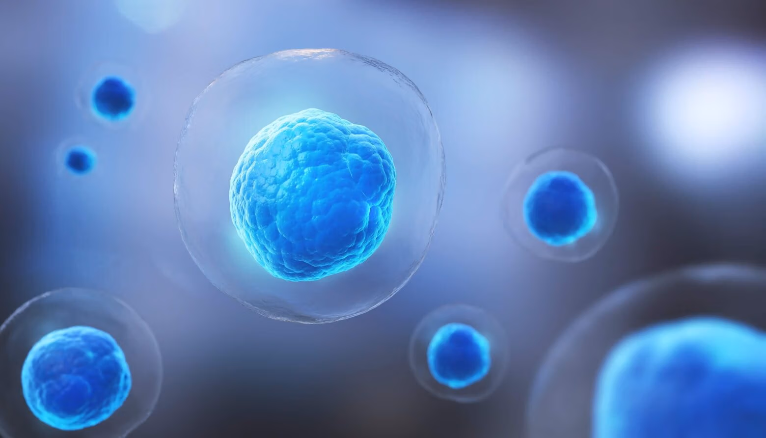 cellular rejuvenation and healing in 2024