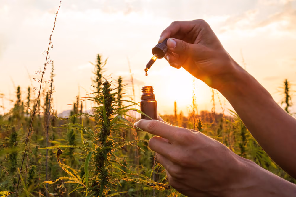 内源性大麻素与男性健康