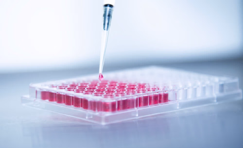 Stem Cells for Erectile Dysfunction