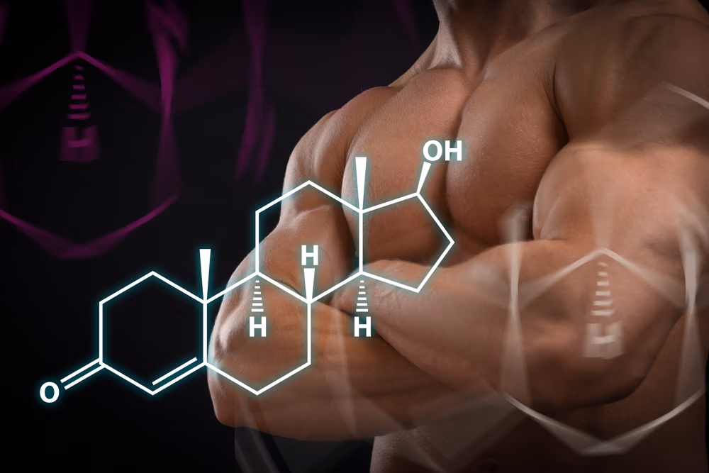 Testosterone Rebalance