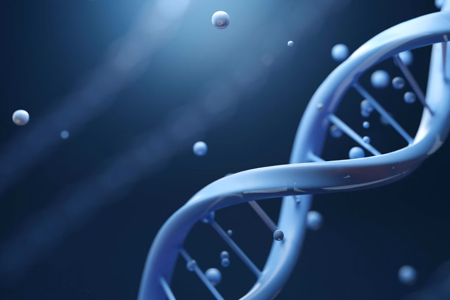 Stem Cell IV