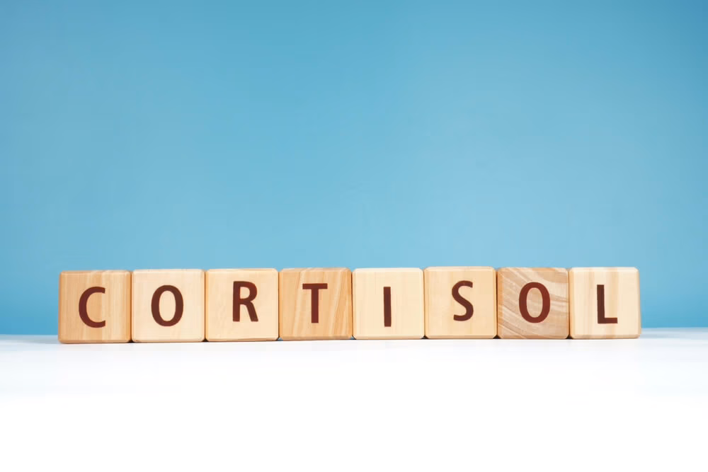 Cortisol And Bedroom Burnout in 2025