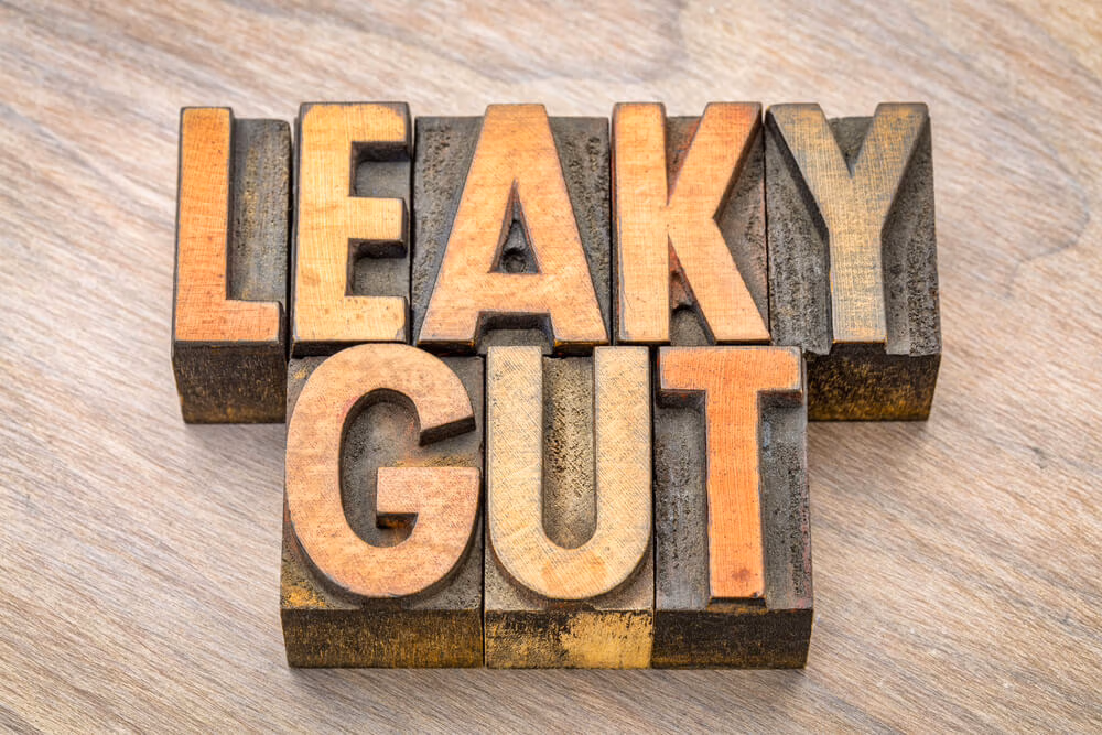 what is Leaky Gut?