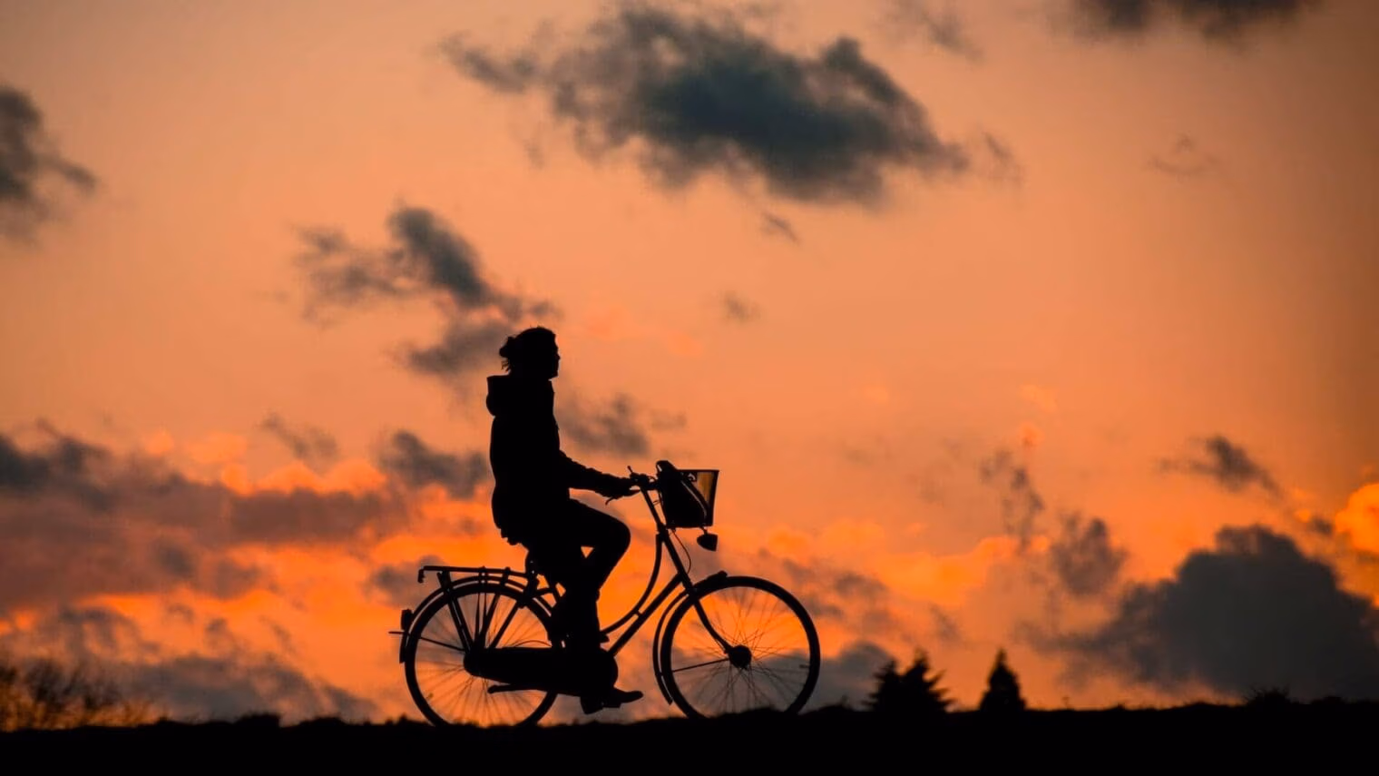 healthy lifestyle for men 2024